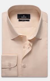 Dress Shitrs Beige Colour